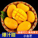 琪江果正宗海南小臺農芒果 熱帶當季新鮮水果整箱 小臺芒凈重4.5斤單果50g+