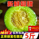 黃六爺東北綠寶甜瓜5斤大果新鮮水果當(dāng)季時(shí)令小甜瓜脆瓜綠寶石香瓜批發(fā) 3斤 【實(shí)惠中果】香甜多汁 吃貨必備