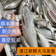 廣東特產(chǎn)馬友魚(yú)大條湛江新鮮海釣深海魚(yú)冰鮮冷凍魚(yú) 深海天然中號馬友魚(yú)（3斤5條）