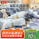 金號（KING SHORE）純棉被套 A類抗菌防螨100%全棉被罩 適用單人150*200被子 英倫蘭
