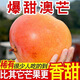 云南澳芒新鮮水果5斤應(yīng)季水果奧芒蘋(píng)果芒特大芒果非凱特芒彩虹芒R 頭茬果-新鮮現(xiàn)摘【商超品質(zhì)】 凈重9斤小果 單果200-250g