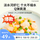 豐收日半成品菜肴蝦仁魚片咕咾肉牛肉粒獅子頭 肉禽菜肴預(yù)制菜快手菜 水晶河蝦仁200g