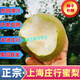 桃西村正宗上海莊行蜜梨青皮翠冠蜜梨孕婦脆甜多汁皮薄當(dāng)季新鮮蜜梨水果 莊行蜜梨 5斤中果【單果5-6兩/個】