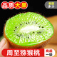 探味君 陜西周至獼猴桃 應當季奇異果新鮮綠色水果綠心彌猴桃 整箱 凈重8.5-8.99斤 【果王】單果140g+