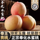 寧波水蜜桃奉化水蜜桃現摘純甜多汁湖景玉露白鳳新鮮桃子水果當季 5斤單果3.8-4.3兩左右