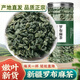 塞山歸園新疆羅布麻茶正品非野生羅布麻茶葉的功效與作用養(yǎng)生茶2025新茶 新疆羅布麻茶400g【精選頭茬新茶】