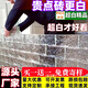 三棲虎光影魔術(shù)師#超白玻璃磚水晶磚方形冰紋隔斷墻客廳玄關(guān)臥室KTV酒吧 200*100*50mm雙面冰紋【精白】