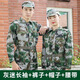 迷彩服套裝男女學(xué)生軍訓迷彩單位訓練股服裝工作服ba 迷彩套裝【團購專(zhuān)拍】 180