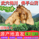 【新鮮現挖】湖北武穴特產(chǎn) 武穴佛手山藥梅川百元山藥天然種植 【標準裝】正宗梅川佛手山藥5斤