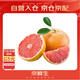 京鮮生 福建紅心西柚/柚子 4粒裝 單果280g起 生鮮水果
