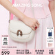 Amazing Song乙頌[七夕禮物]明星同款栗子包小號(hào)單肩斜挎包女包高級(jí)感馬鞍包