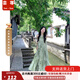 蕓蕁裙子女夏季2025新款新中式女裝無袖掛脖連衣裙子夏季清冷松弛感穿 霧林綠 M