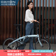 大行（DAHON）P10折疊自行車20英寸10速鋁合金男女運(yùn)動(dòng)通勤V剎折疊車PAA003 消光灰藍(lán)
