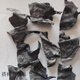 山東特產(chǎn)特厚干海帶頭威海榮成小海帶頭一斤500g 500g