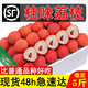 小農兔  京東快遞 廣東桂味新鮮荔枝5斤精選高州水果增城仙進(jìn)奉妃笑子 5斤裝荔枝【實(shí)惠果】單個(gè)13-15g