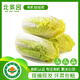 北菜園有機娃娃菜400g 有機新鮮蔬菜【進(jìn)店多樣加購】 火鍋涮菜