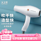 火之鳳吹風機理發(fā)店專用 電吹風筒 負離子2200W大功率發(fā)廊大風力速干家用高速恒溫護發(fā)不傷發(fā)8960【七夕 8960象牙白(2200W)