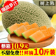 正宗新疆哈密瓜9斤新鮮水果當(dāng)季冰淇淋蜜瓜脆甜蜜香瓜哈密瓜包郵m 9斤整箱