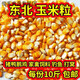 食懷2025年?yáng)|北新玉米粒干玉米粒喂豬雞鴨鵝鳥(niǎo)家禽飼料鴿子糧釣魚(yú) 精選玉米粒(10斤裝)國儲標準 黑龍江玉米粒-顆顆飽滿(mǎn)