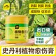 史丹利植物傷口愈合劑嫁接修剪果樹(shù)大樹(shù)樹(shù)皮涂抹劑神器盆景愈傷膏 愈傷膏500g*1瓶 送毛刷*1