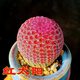 紅太陽 多肉植物開花仙人球四季養(yǎng)實生紫太陽室內(nèi)陽臺桌面盆栽 紅太陽 【 帶6厘米塑料栽好】1盆