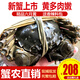 【活蟹】陽澄小斌大閘蟹 鮮活精挑特大螃蟹公蟹母蟹生鮮水產(chǎn)禮盒 新蟹六月黃2.5-2.8兩 八只禮盒裝