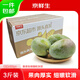 京鮮生 攀枝花凱特芒果 凈重3斤 帶箱3.5斤 單果400g+ 生鮮水果源頭直發(fā)