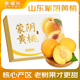 春福樂 山東蒙陰黃桃【協(xié)會(huì)授權(quán)】當(dāng)季水果生鮮有毛無毛蜜桃子禮盒送禮 凈重4.5-5斤丨特果農(nóng)選
