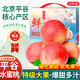 京地達(dá)北京平谷新鮮水蜜桃子凈重7.2斤單果300g+新鮮水果源頭直發(fā)包郵
