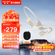 戴靈S800骨傳導(dǎo)藍(lán)牙耳機(jī)運(yùn)動跑步健身游泳騎行IPX8級防水32G內(nèi)存長續(xù)航掛耳式開放不入耳帶麥高清通話 暖日白+耳機(jī)包