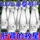 0脂肪0添加白樺汁植物飲料NFC滋補黃金養(yǎng)生原液 300ml*24瓶【熱銷必買】