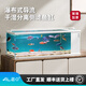 萊易歐 ALEO第2代側(cè)過濾一體全套家用客廳屏風(fēng)超白玻璃生態(tài)水草缸雷龍金魚缸 CY-1000 贈送器材+全套濾材【月光白】