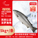 純爾 法羅皇冠三文魚(yú)整條凈重10斤+大西洋鮭魚(yú) 無(wú)抗源頭直發(fā) 中秋送禮