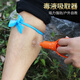 法·瑪莎 FAV MARTHA德國(guó)品質(zhì)毒液真空吸取器戶外野外救生工具急救盒蛇毒蜂毒膿血抽毒 毒液吸取器(紅)