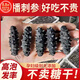 胖丨東來品質(zhì)海參野I生大連海參孕婦干貨淡干遼參40頭30頭散裝旗 10只裝 【4-4.5厘米】實惠淡干中刺參