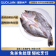 GUO LIAN國(guó)聯(lián)水產(chǎn) 酒香三去海鱸魚(yú)凈重400g 免殺免處理即烹海鮮食材生鮮