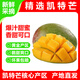 正宗廣西芒果百色芒新鮮水果產(chǎn)地直發(fā)包郵 珍品果 凈重8斤