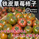 味小仙【順豐】遼寧丹東草莓柿子 鐵皮柿子綠腚油柿子西紅柿番茄蔬菜 5斤