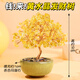 友顏堂天然黃水晶發(fā)財樹(shù)聚寶盆招財紫水晶家居辦公室工位桌面裝飾品禮物 【招財巨吸金】黃水晶發(fā)財樹(shù)