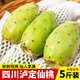 文枝四川瀘定可食用仙人掌果綠心果實(shí)新鮮網(wǎng)紅水果少見稀奇仙桃大果 3斤 體驗(yàn)裝