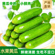 京地達(dá)黃瓜山東水果小黃瓜 凈重5斤 單果80g+ 新鮮蔬菜源頭直發(fā)包郵