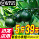 鮮美驚 【順豐包郵】 9斤正宗新會(huì)小青柑新會(huì)產(chǎn)地直發(fā)新鮮青桿奶茶店 3斤 【正宗新會(huì)小青柑】 【一級(jí)果】