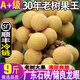 璽秧廣東石峽龍眼儲(chǔ)良龍眼【順豐多地次日達(dá)】新鮮老樹水果禮盒桂圓 A級(jí)果【石峽龍眼】 爆甜蜜香 10斤【虧本沖量80%人選】?jī)糁?斤