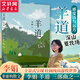 羊道 深山夏牧場(chǎng) 李娟羊道三部曲正版散文作品集