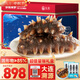 久年大連即食海參4斤40-60只京東自營旗艦店量販裝遼參海鮮禮盒送長輩