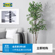 宜家（IKEA）FEJKA菲卡人造盆栽植物仿真綠植客廳裝飾擺件實(shí)用擺設 垂枝無(wú)花果21cm