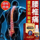 腰椎部位行噴劑腰椎骨刺頸椎疼屁股疼腿腰肌勞損專用筋骨活絡(luò)外用 紅色