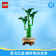 樂高（LEGO）積木 花植系列 永生花 創(chuàng)意diy拼裝玩具 男孩女孩生日禮物 10344 富貴竹