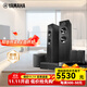 雅馬哈（YAMAHA）【發(fā)燒級】NS-71 NS-51家庭影院5.1套裝 家用音響套裝 木質(zhì)音箱  杜比DTS RX-V385+NS-51【5.1】 音箱黑色
