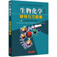 全新生物化學(xué)第三3版王鏡巖朱圣庚上下冊課后題答案考研送視頻課 綠輔導